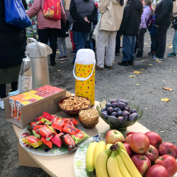 Koku stādīšanas pasākums sadarbībā ar "Davines" uzņēmumu