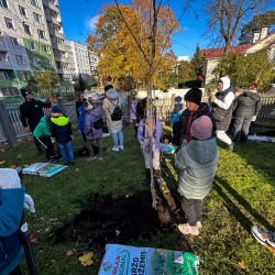 Koku stādīšanas pasākums sadarbībā ar "Davines" uzņēmumu