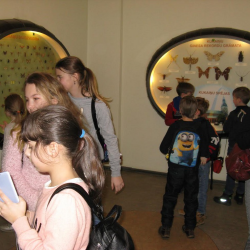 Angļu valodas pulciņa ekskursija uz Latvijas Dabas muzeju